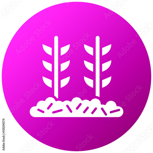Vector Design Wheat Plantation Icon Style