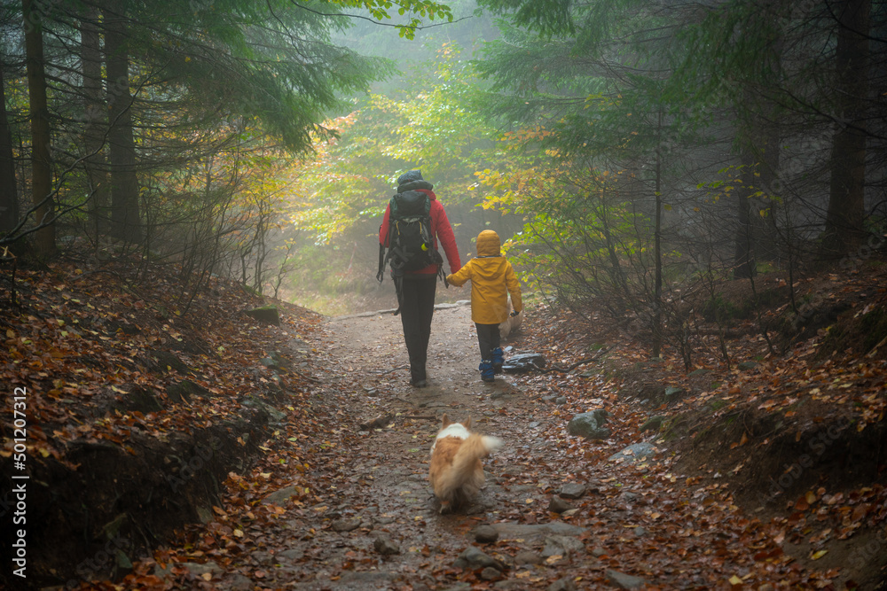 Mum and her little son go on a mountain trail in wet autumn weather. They are accompanied by a dog. Mum and her little son go on a mountain trail in wet autumn weather. They are accompanied by a dog.