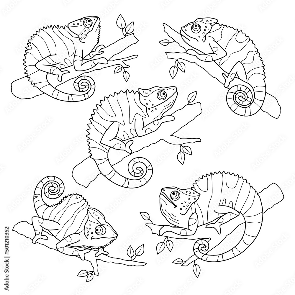 Stock vector contour linear chameleons hand drawn illustration Stock vector contour linear chameleons hand drawn illustration