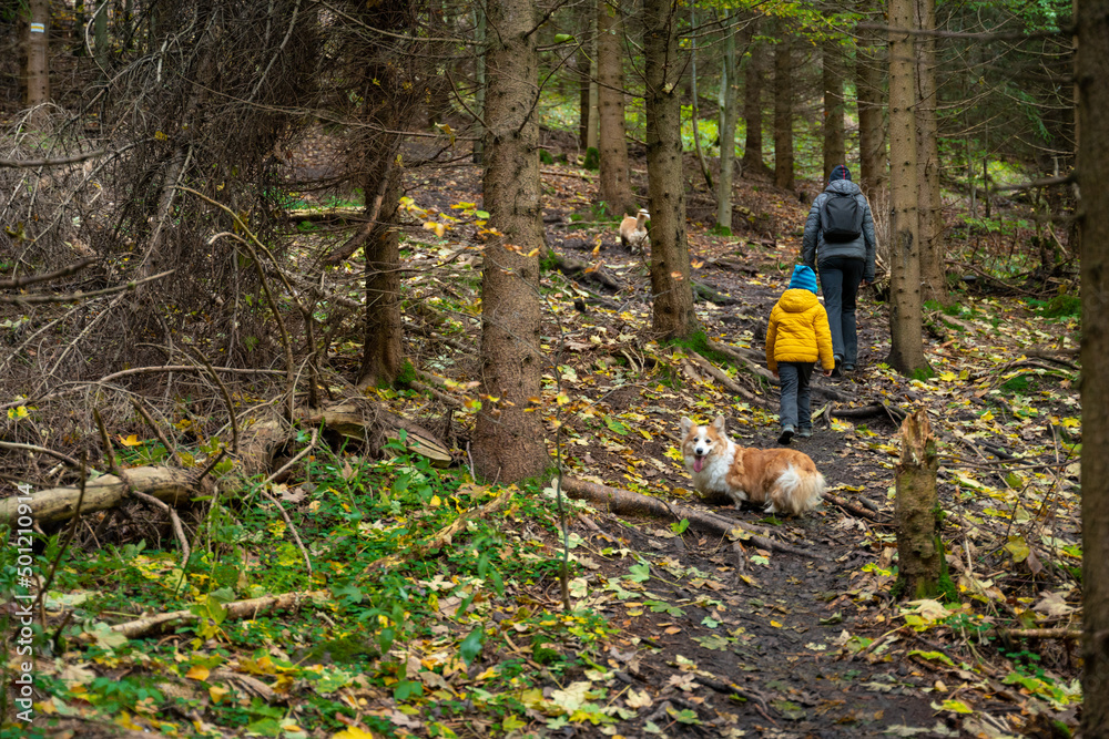 During the autumn, my mother and her little son go on a mountain trail. They are accompanied by a dog. During the autumn, my mother and her little son go on a mountain trail. They are accompanied by a dog.
