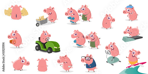 funny collection of a cartoon pig