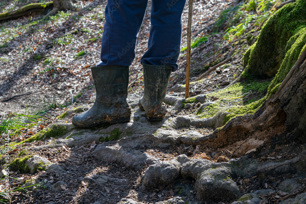 the legs of an adult dressed in travel boots are walking through a green forest. the concept of travel and hiking. the legs of an adult dressed in travel boots are walking through a green forest. the concept of travel and hiking.