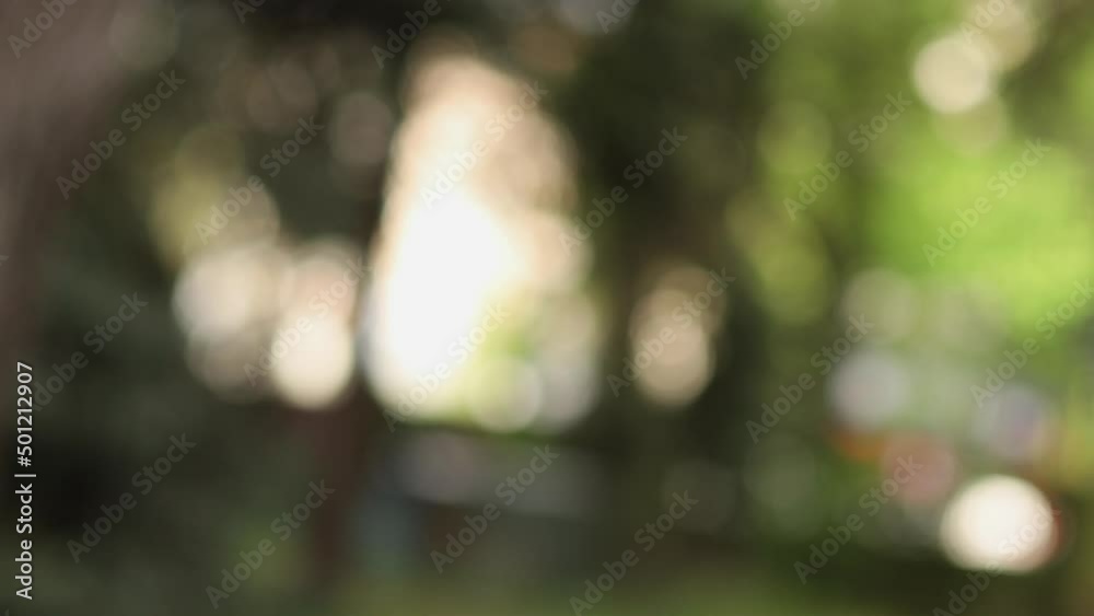 colorful abstract bokeh in the garden
colorful abstract bokeh in the garden