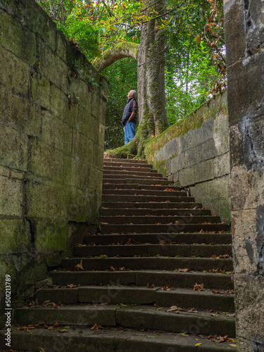 Older man at the top of a staircase looking at the trees in the forest on an autumn day.