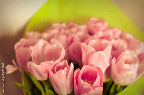 Tulips flowers bouquet with pink tulips in green paper