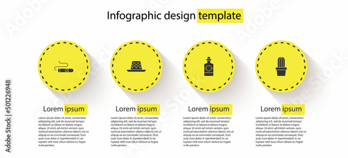 Set Cigar, Mexican sombrero, Tequila bottle and Cactus or succulent in pot. Business infographic template. Vector