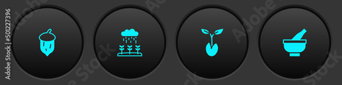 Set Acorn, oak nut, seed, Plant sprouts grow in the rain, Sprout and Mortar and pestle icon. Vector