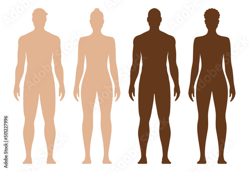 White and black male and female body silhouette. Male and female anatomical body vector illustration, isolated on background.