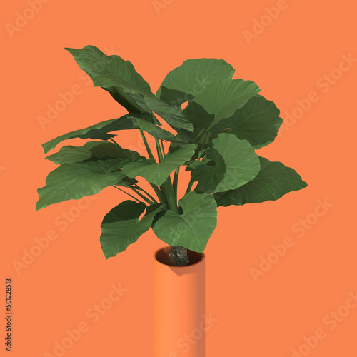 Plakat w ramie Plant 001