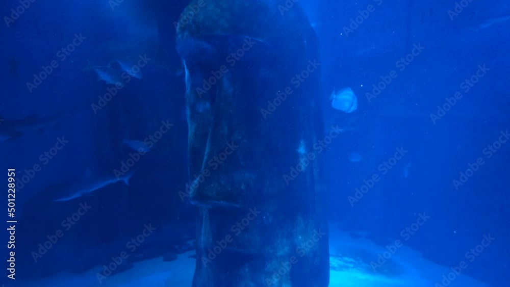 Sharks swimming underwater in the aquarium with the stone face statue