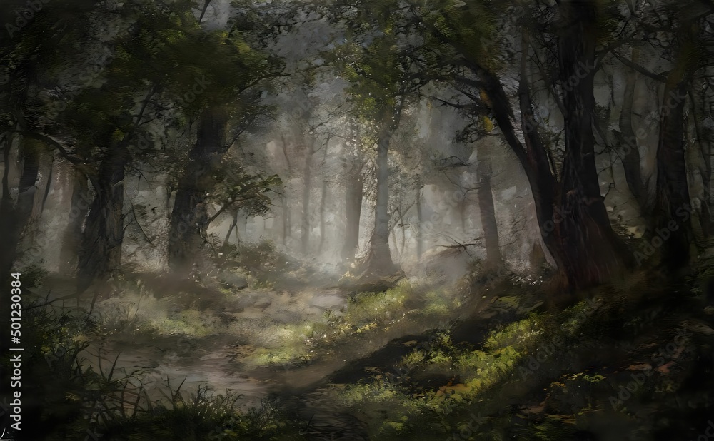 a photo of a dark and misty forest