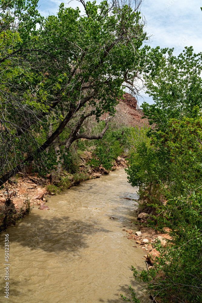 Zion National Park in the Middle of a sunny Spring Day Zion National Park in the Middle of a sunny Spring Day