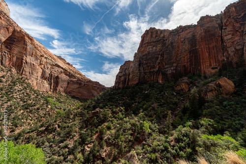  Zion National Park in the Middle of a sunny Spring Day