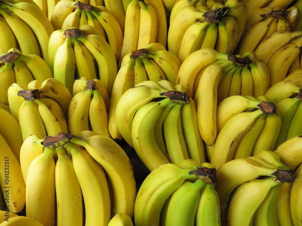 bananas in the market