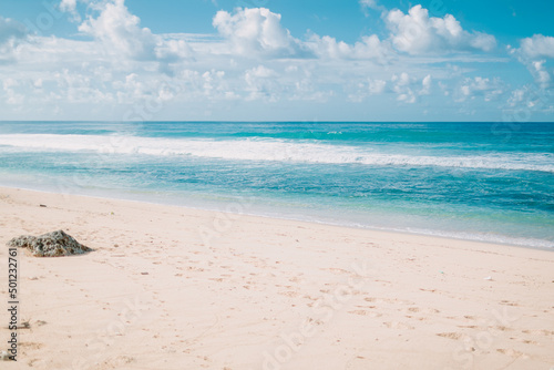Tropical sandy beach and blue ocean