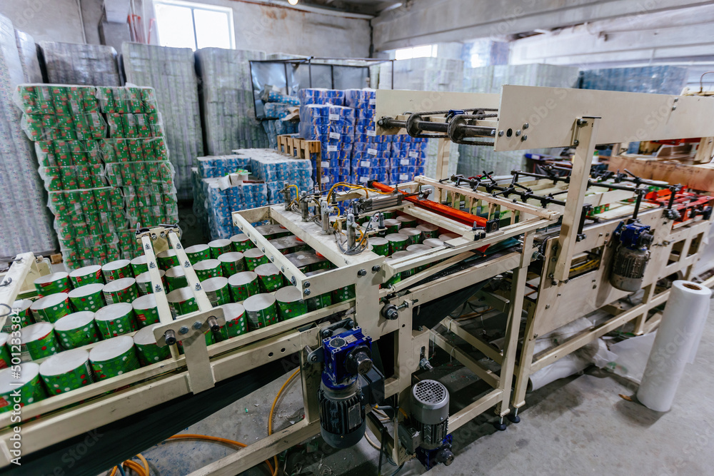 Fototapeta premium Toilet paper production line. Rolls of toilet paper on conveyor