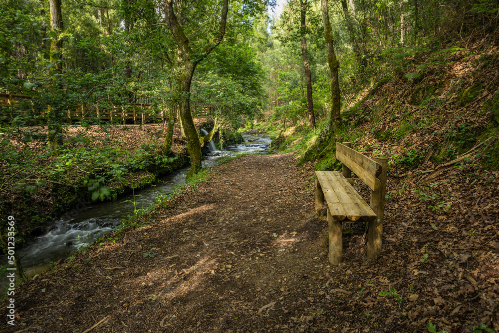 Wooden bench on the bank of the river Lourido in the park of the fountain of Stanislaus Wooden bench on the bank of the river Lourido in the park of the fountain of Stanislaus