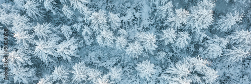 Top view of snow-covered larch trees. Aerial photography of the winter forest. The tops of the trees in the snow. Cold snap. Beautiful northern nature. Cold winter weather. Wide natural background.