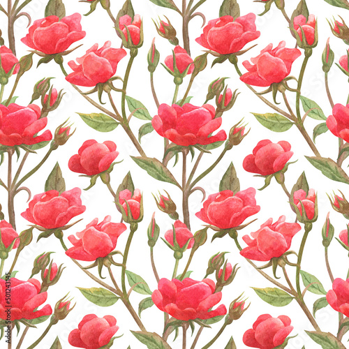Seamless pattern with flowers. Rose. Watercolor illustration. The print is used for Wallpaper design  fabric  textile 