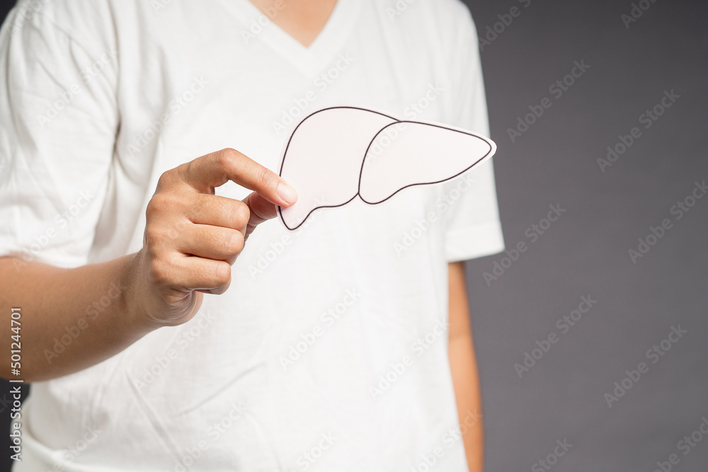 Hand holding a liver shape made of paper while standing on a gray background Hand holding a liver shape made of paper while standing on a gray background