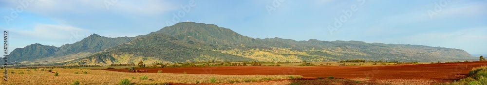Panorama of pineapple fields with tractor and mountains in the background on the northshore of Oahu in Hawaii