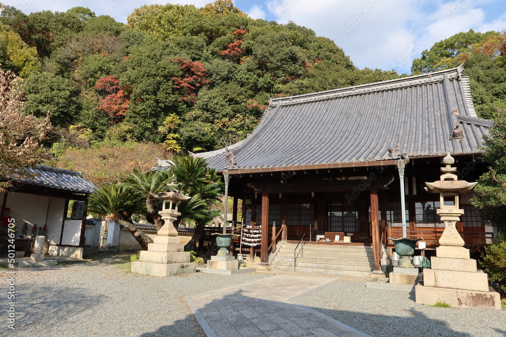 A scene of the precincts of Saihou-ji Temple in Takehara City in Hiroshima Prefecture in Japan 日本の広島県竹原市にある西芳寺境内の