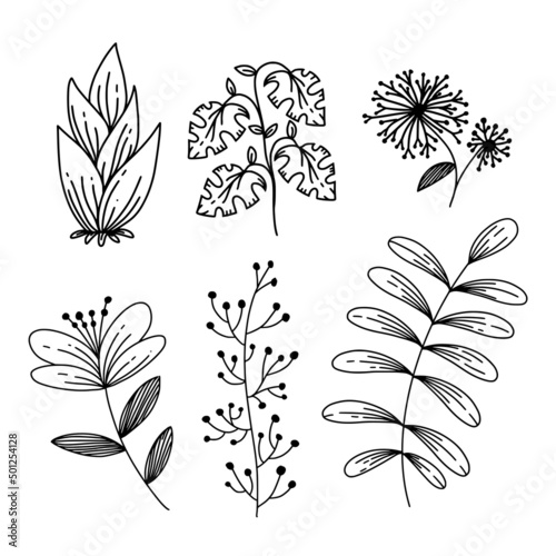 Tropical Floral Monoline Style Beautiful Flower Illustration Template