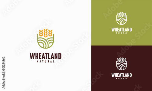 Grain wheat field logo concept, Agriculture wheat Logo Template vector icon