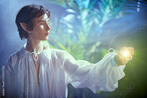 Εκτύπωση καμβά elf in magic forest
