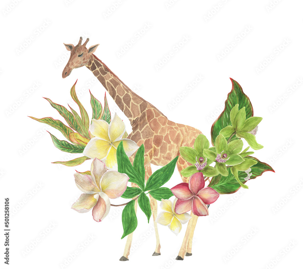 Fototapeta premium Watercolor painting floral composition with giraffe and tropical flowers, leaves