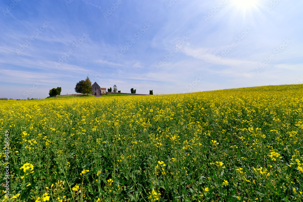 Rapeseed fields and old church of t la Genevraye village in the French Gatinais regional nature park