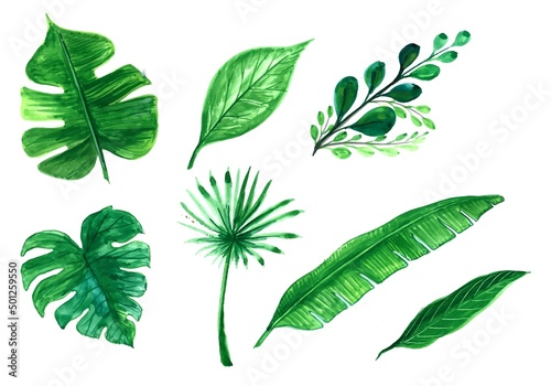 Set of green tree leaf design illustration