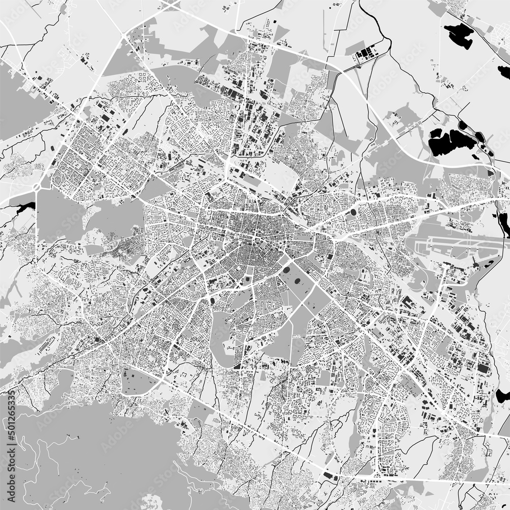 Fototapeta premium Urban city map of Sofia. Vector poster. Black grayscale street map.