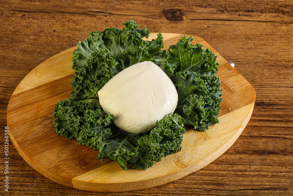 Soft mozzarella cheese over board Soft mozzarella cheese over board