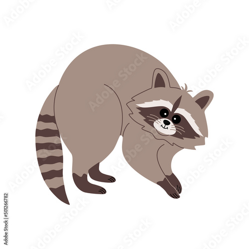 Cute raccoon with funny face. Hand drawn color vector illustration isolated on white background. Modern flat cartoon style.