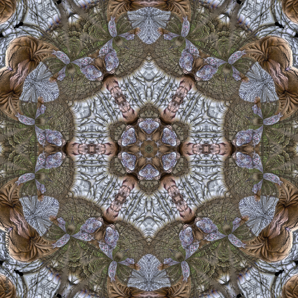 Creative Ornament Concrete Texture Details Creative Ornament Concrete Texture Details