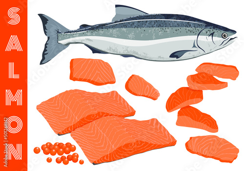 Set fresh raw trout salmon whole fish, caviar, sliced piece, ingredient of fillet steak, Scandinavian Norwegian food, sashimi sushi Japanese style, Pescetarian seafood cooking, healthy nutrition meal.