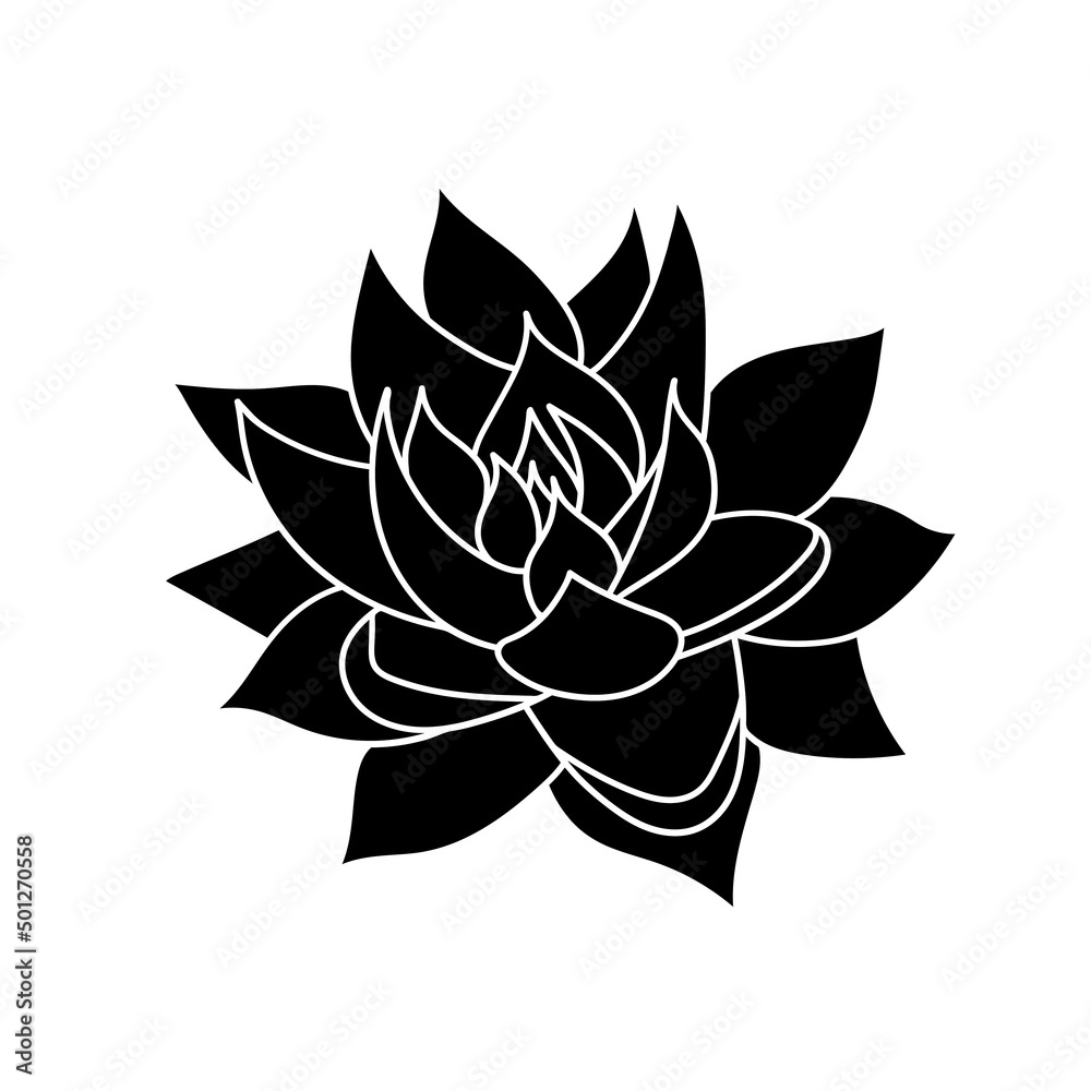 Succulent echeveria in simple style, vector illustration. Desert flower for print and design. Silhouette mexican plant, graphic isolated element on a white background. Houseplant for decor interior