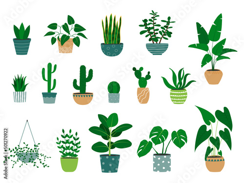 Set of hand drawn houseplants in flowerpots. Alocasia plant, cactus, monstera, jade plant, aloe