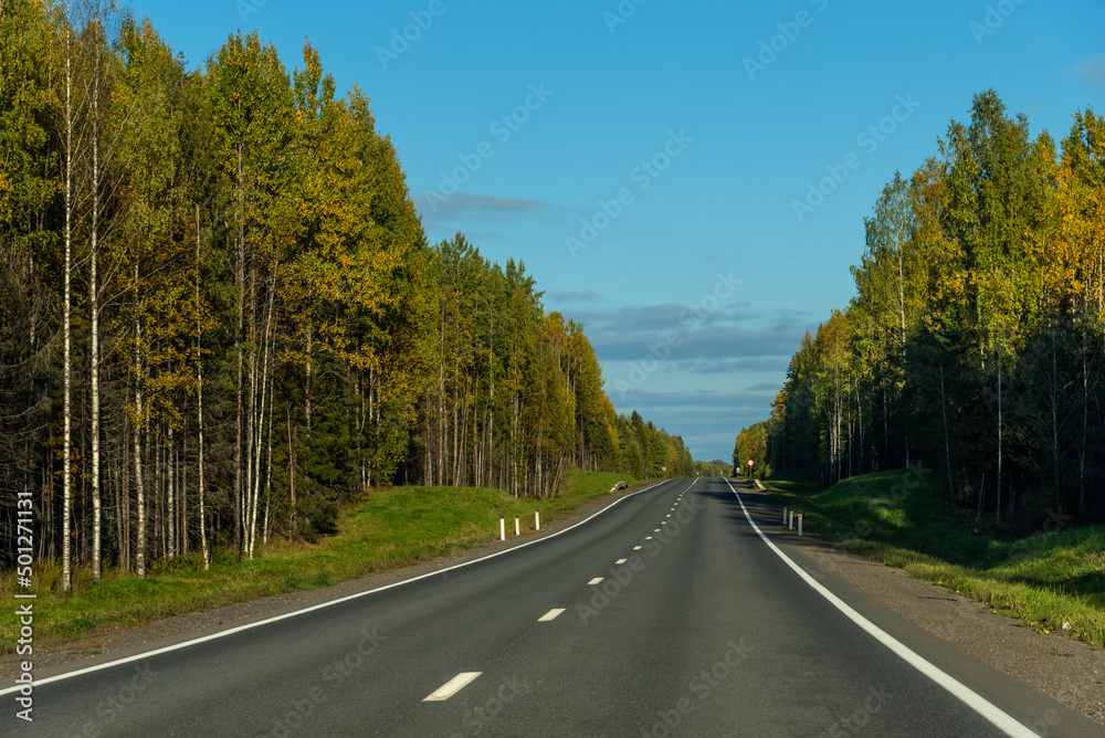 Empty asphalt road through the trees in autumn. Asphalt road with beautiful trees on sides in autumn. Empty asphalt road through the trees in autumn. Asphalt road with beautiful trees on sides in autumn.