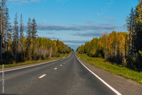 Empty asphalt road through the trees in autumn. Asphalt road with beautiful trees on sides in autumn. 