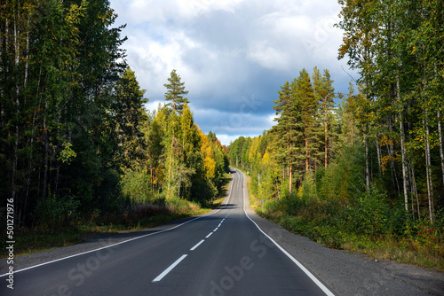 Empty asphalt road through the trees in autumn. Asphalt road with beautiful trees on sides in autumn. 