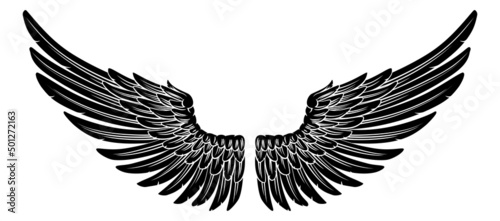 Spread Pair Of Angel Or Eagle Feather Wings