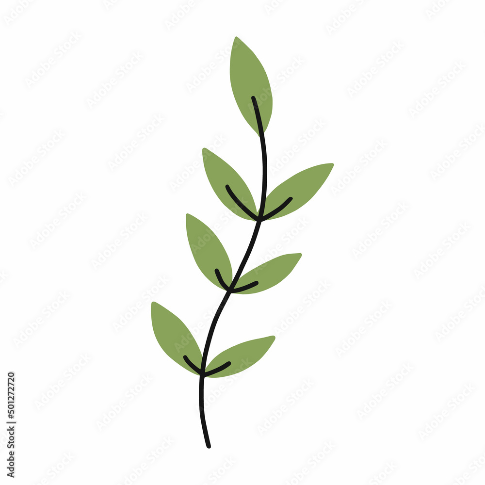 Green twig to decorate postcard. Vector doodle illustration. Green twig to decorate postcard. Vector doodle illustration.