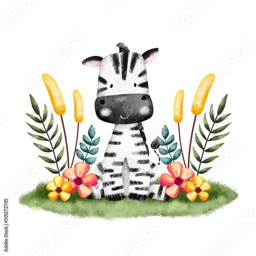 Watercolor Illustration Safari Animal Zebra 