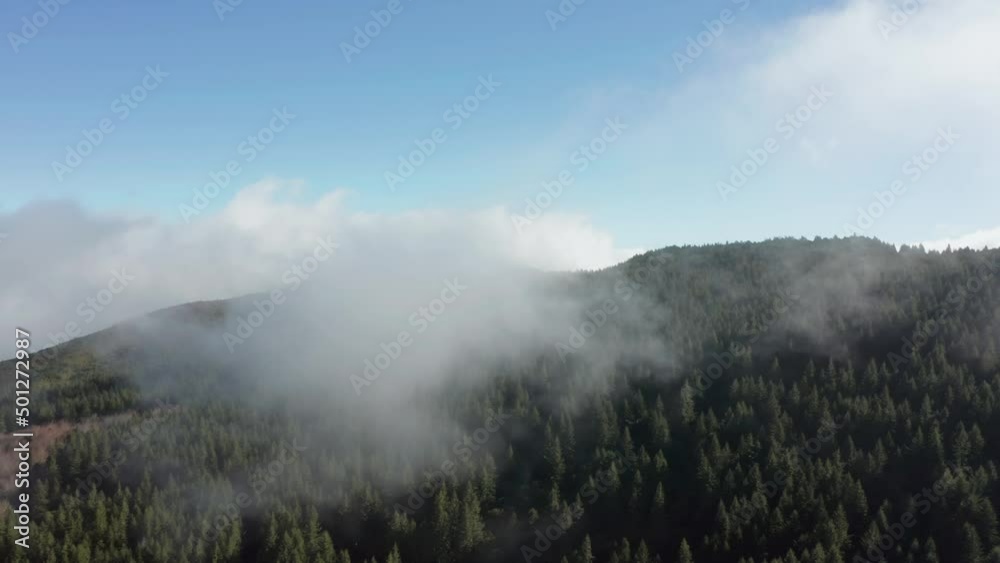 Clouds above woodland evergreen pine forest on sunny day, aerial Clouds above woodland evergreen pine forest on sunny day, aerial