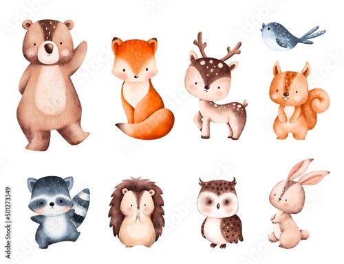 Fototapeta Naklejka Na Ścianę i Meble -  Set of Cute Woodland Animals Illustration 
