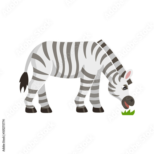 Cute cartoon zebra character. Zebra eating grass. Animals of Africa. Vector cartoon illustration.