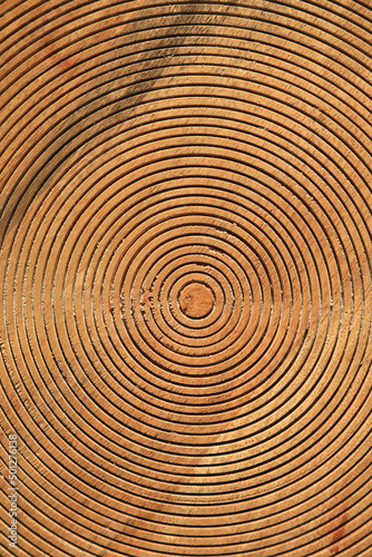 circulos concéntricos madera talla surcos 4M0A4403-as22
