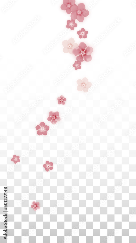 Vector Realistic Pink Flowers Falling on Transparent Background.  Spring Romantic Flowers Illustration. Flying Petals. Sakura Spa Design. Blossom Confetti. Design Elements for Wedding Decoration.